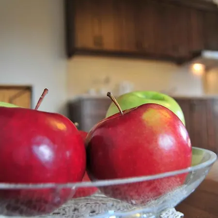 Misiaga Appartement *